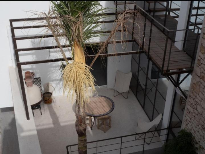 Tigmi Anis Bed & Breakfast Essaouira Bagian luar foto